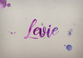 Levie Watercolor Name DP