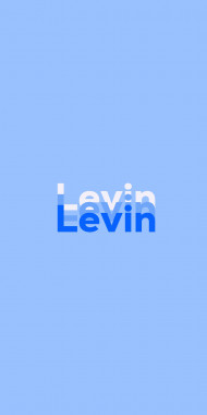 Name DP: Levin
