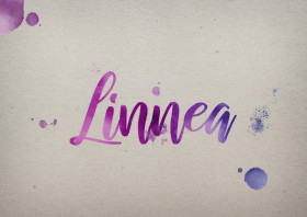 Linnea Watercolor Name DP