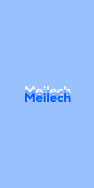 Name DP: Meilech