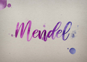 Mendel Watercolor Name DP