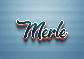 Cursive Name DP: Merle