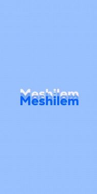 Name DP: Meshilem