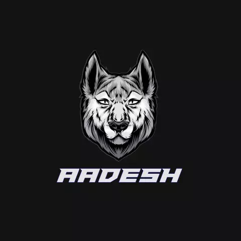 Name DP: aadesh