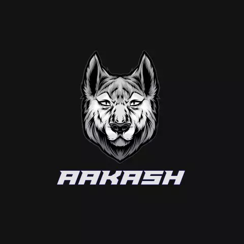 Name DP: aakash