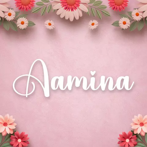 Name DP: aamina