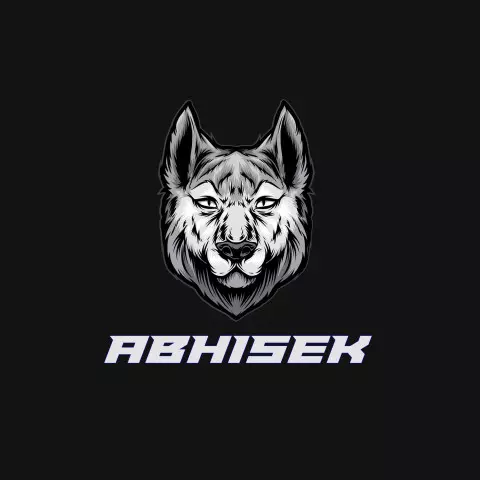 Name DP: abhisek