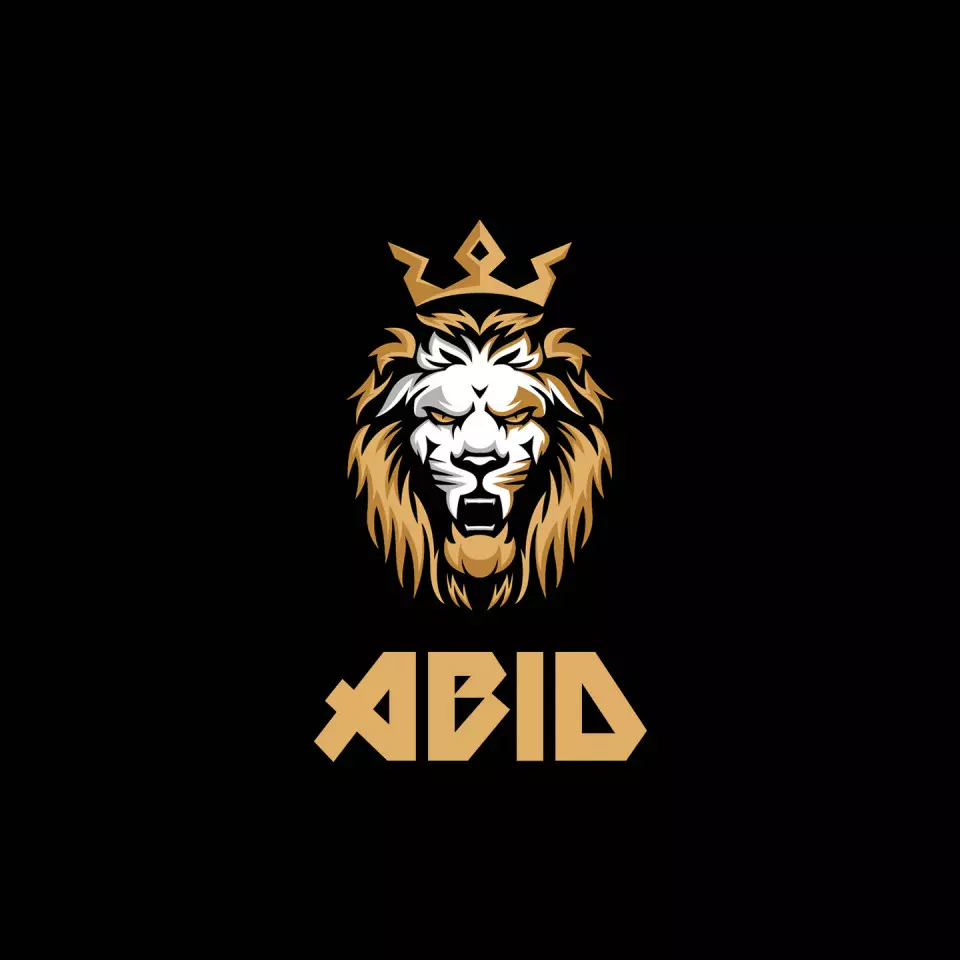 Name DP: abid
