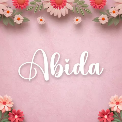Name DP: abida