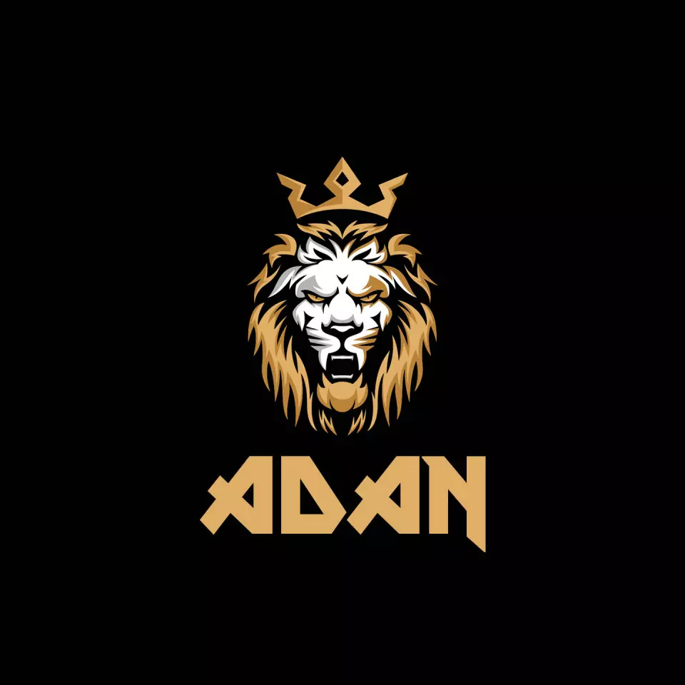 Name DP: adan