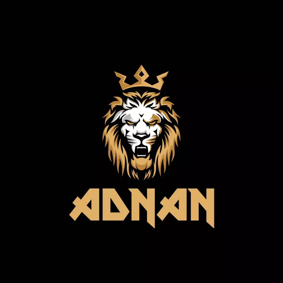 Name DP: adnan