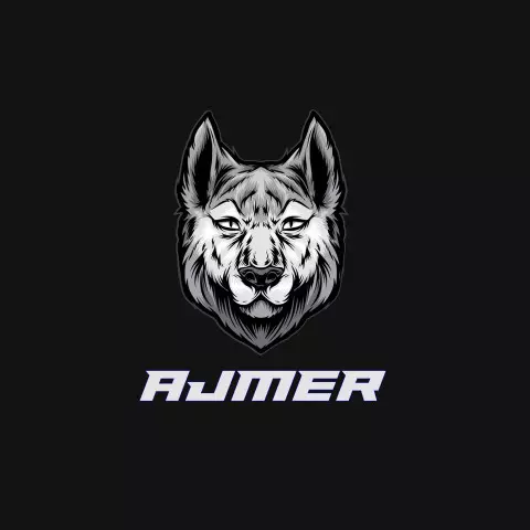 Name DP: ajmer