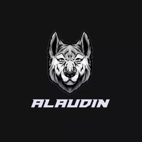 Name DP: alaudin