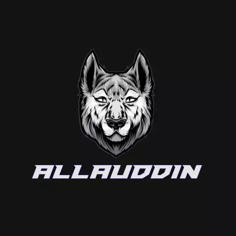 Name DP: allauddin