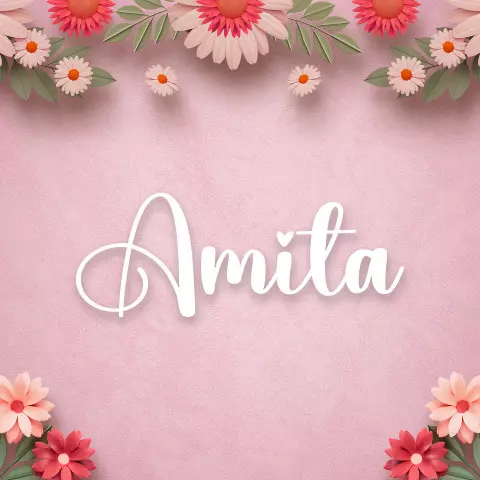 Name DP: amita