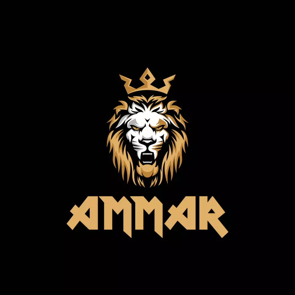 Name DP: ammar