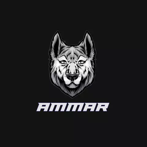 Name DP: ammar