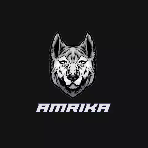Name DP: amrika