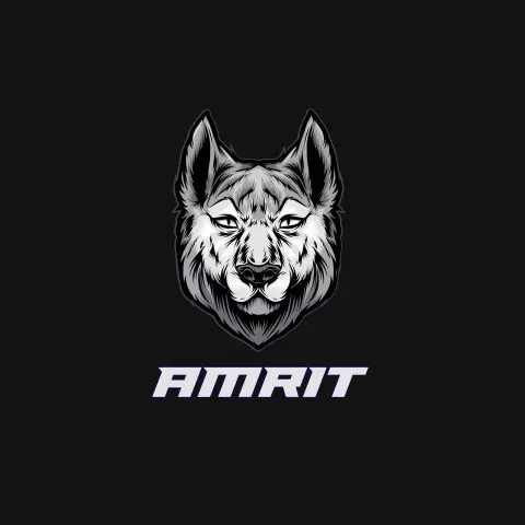 Name DP: amrit