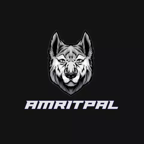 Name DP: amritpal