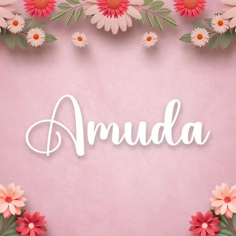 Name DP: amuda
