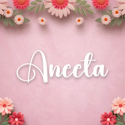 Name DP: aneeta