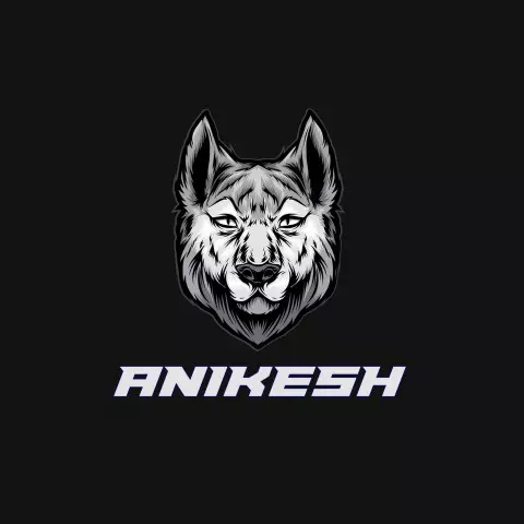 Name DP: anikesh