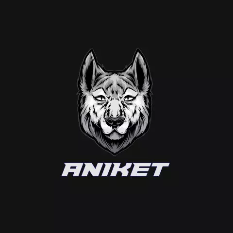 Name DP: aniket