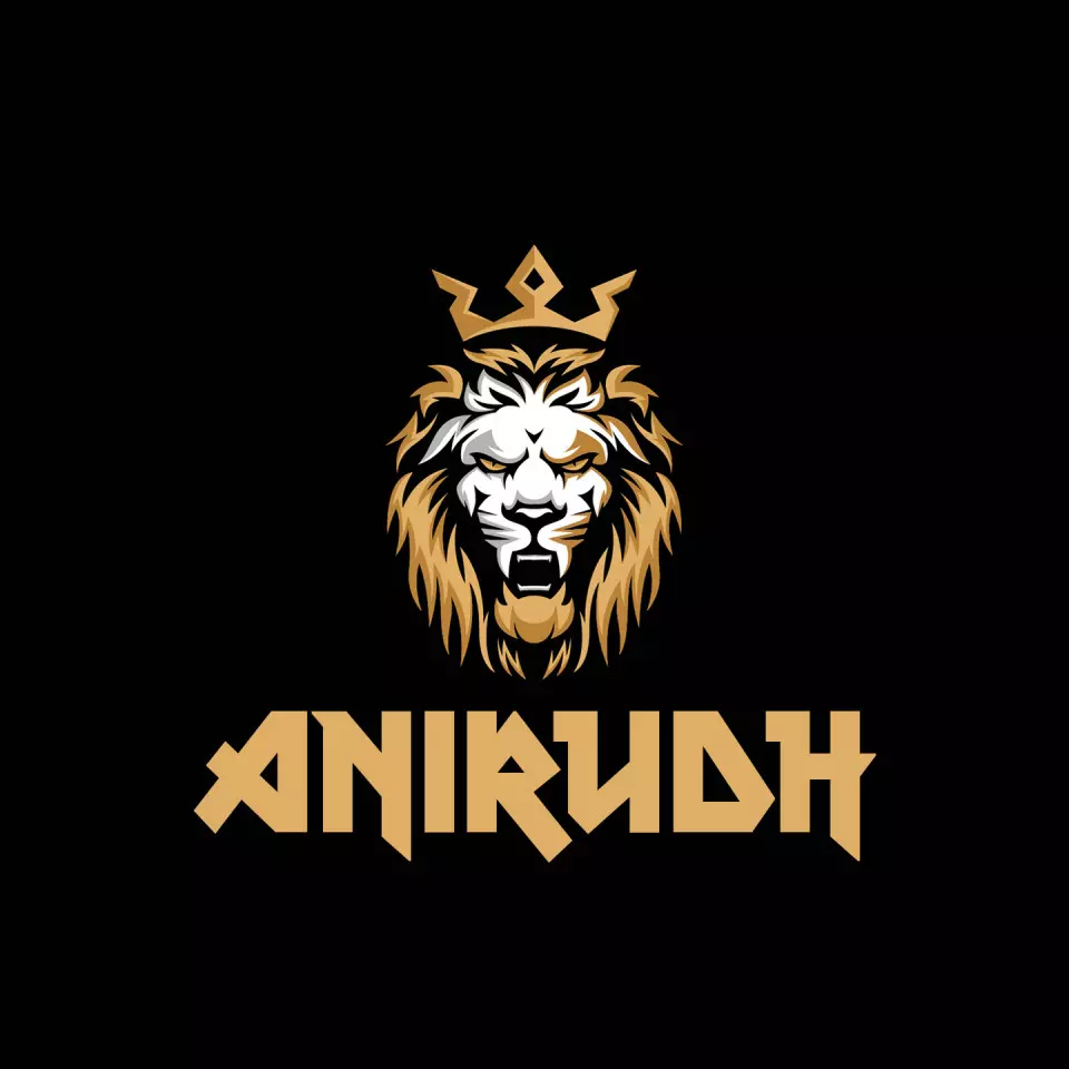 Name DP: anirudh