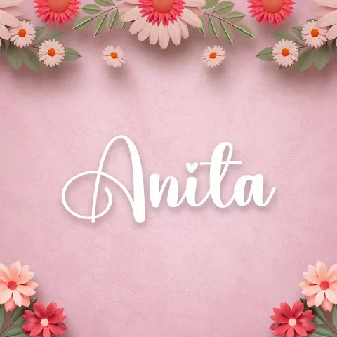 Name DP: anita