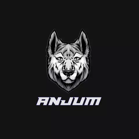 Name DP: anjum