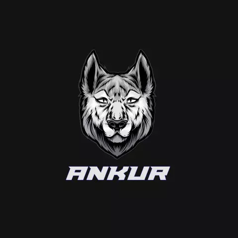 Name DP: ankur
