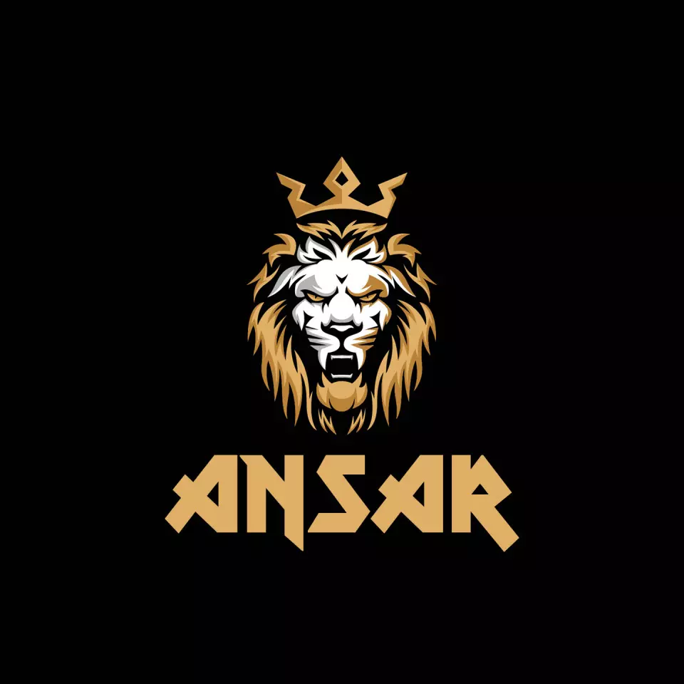Name DP: ansar