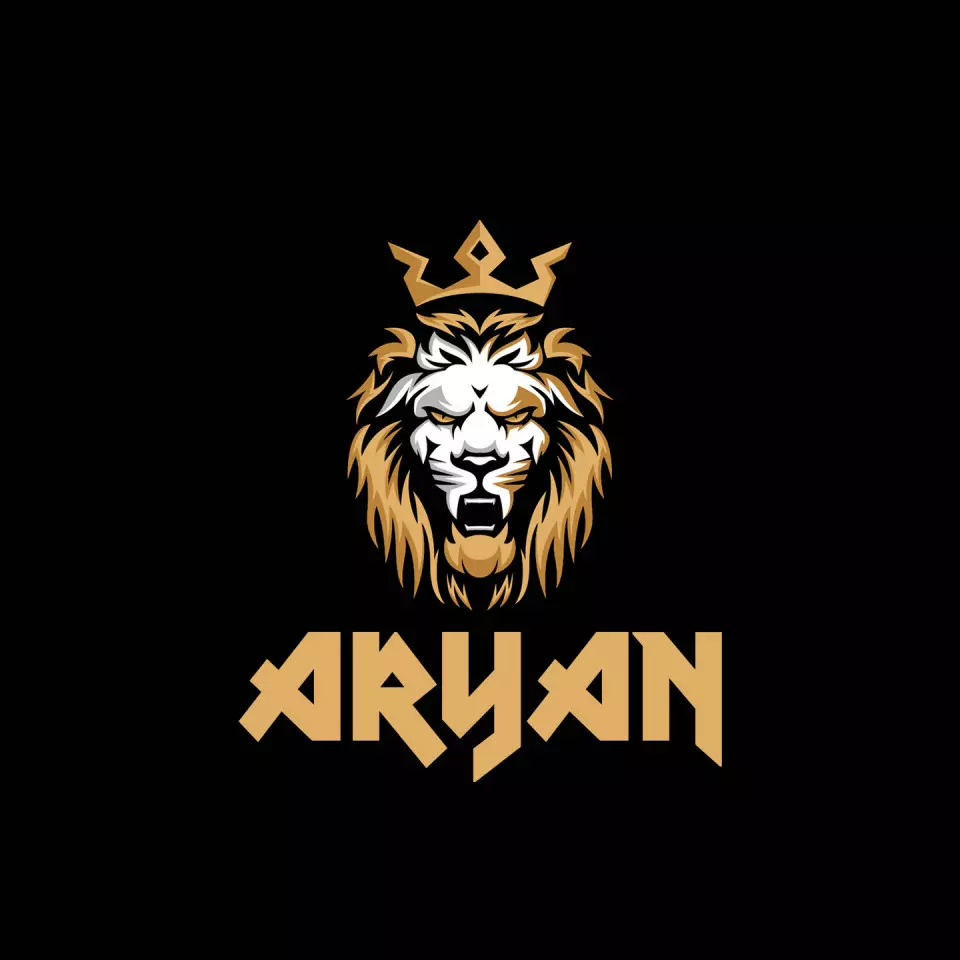 Name DP: aryan
