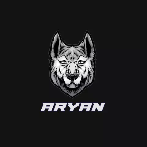 Name DP: aryan