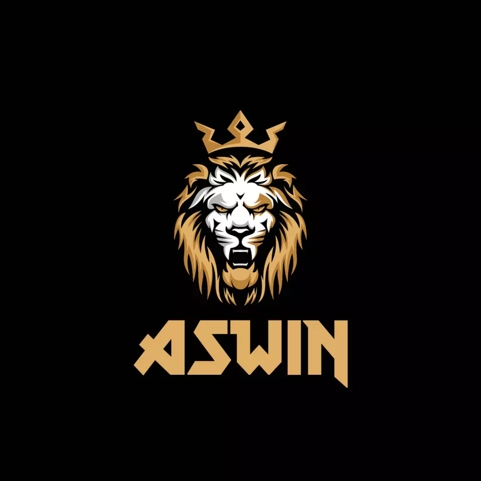 Name DP: aswin