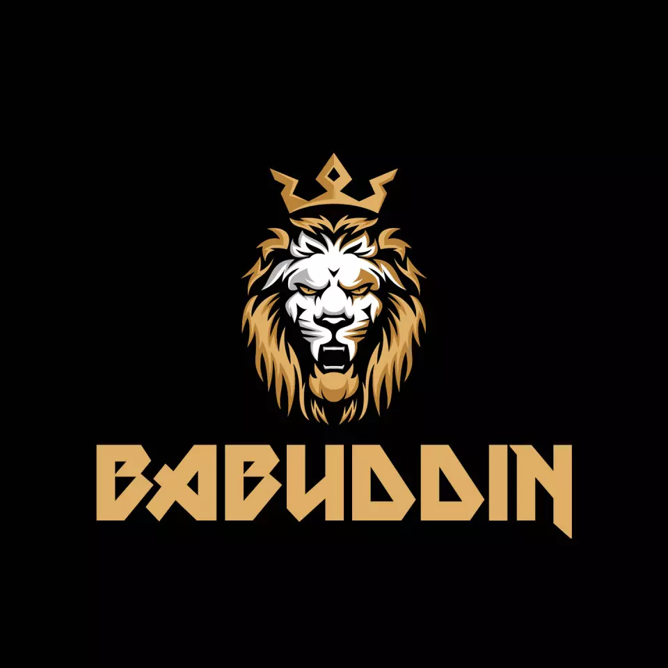 Name DP: babuddin