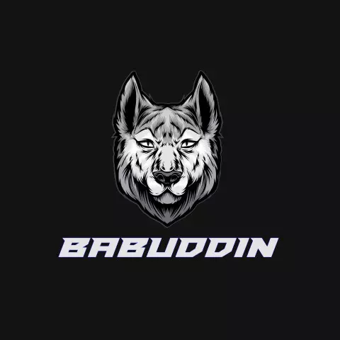 Name DP: babuddin