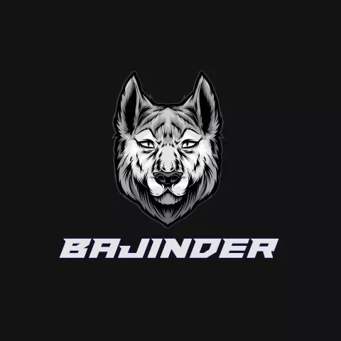 Name DP: bajinder