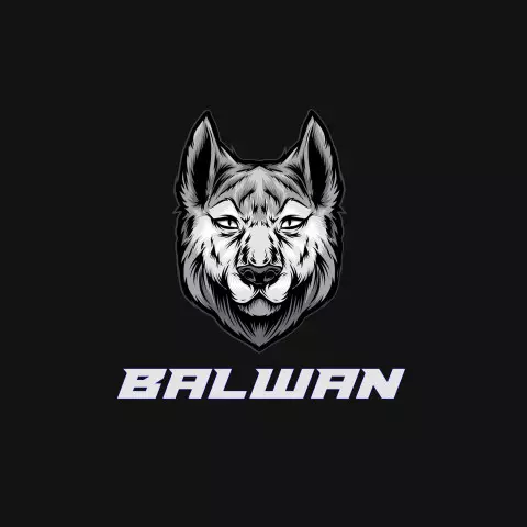 Name DP: balwan