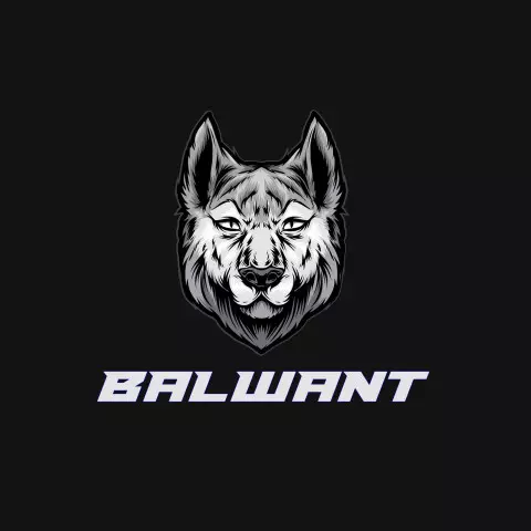 Name DP: balwant