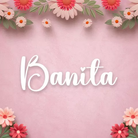 Name DP: banita