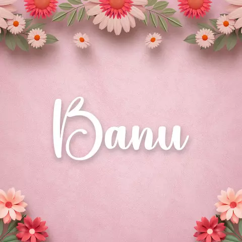 Name DP: banu