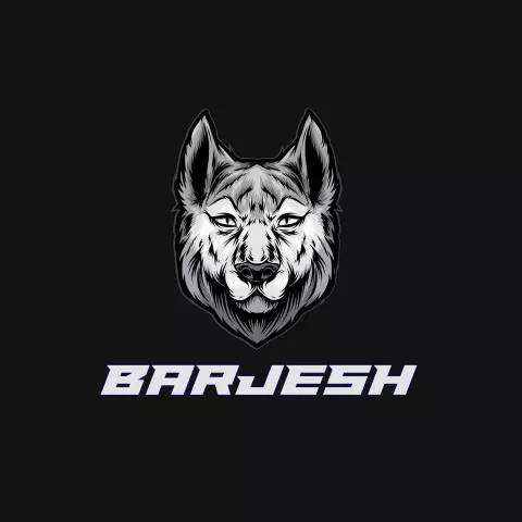Name DP: barjesh