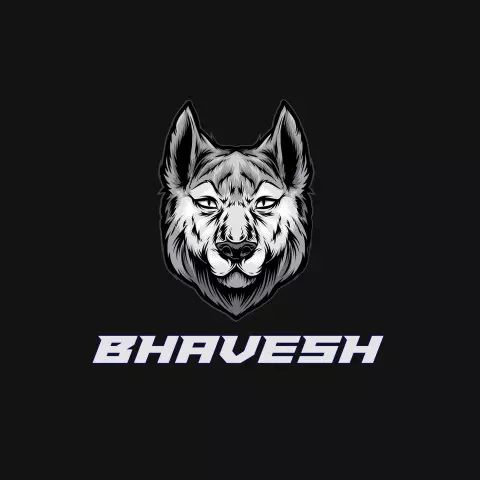 Name DP: bhavesh