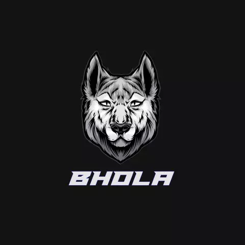 Name DP: bhola