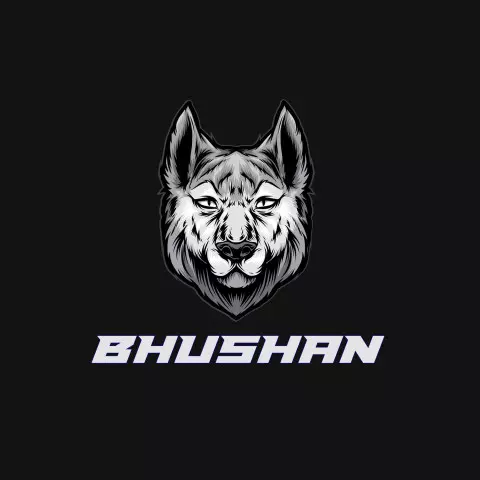Name DP: bhushan