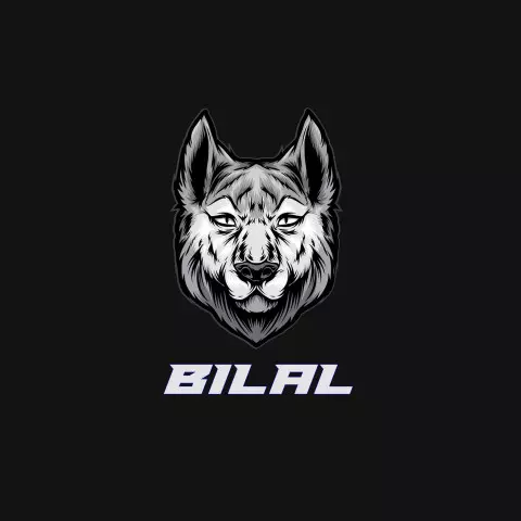 Name DP: bilal