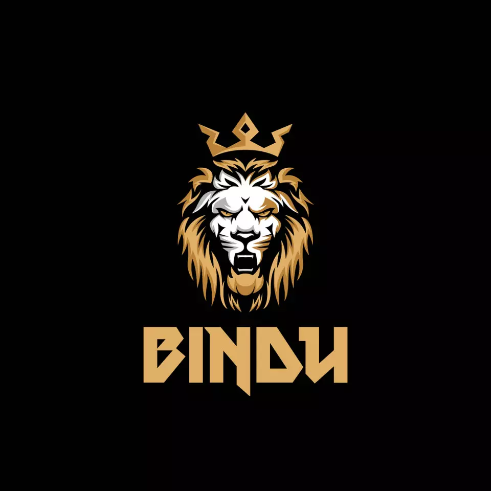 Name DP: bindu