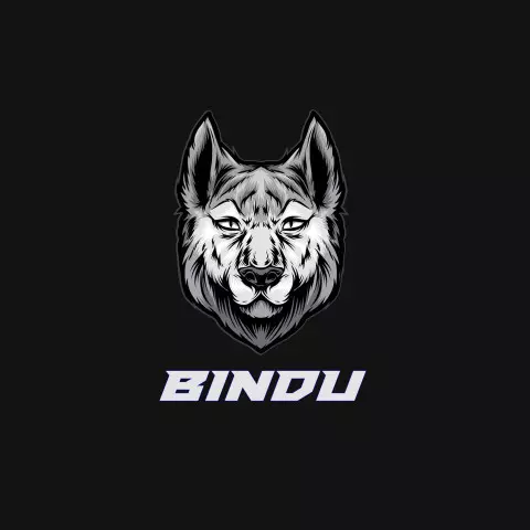 Name DP: bindu